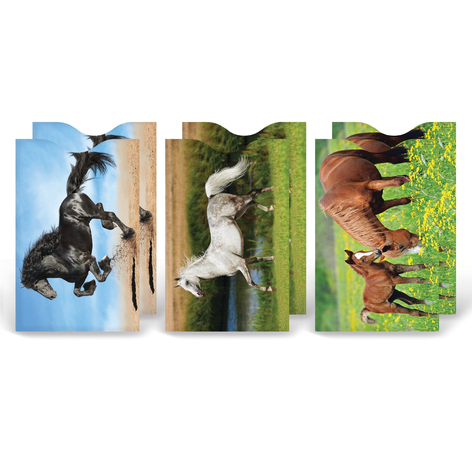 Horses 6-pack armored card sleeves