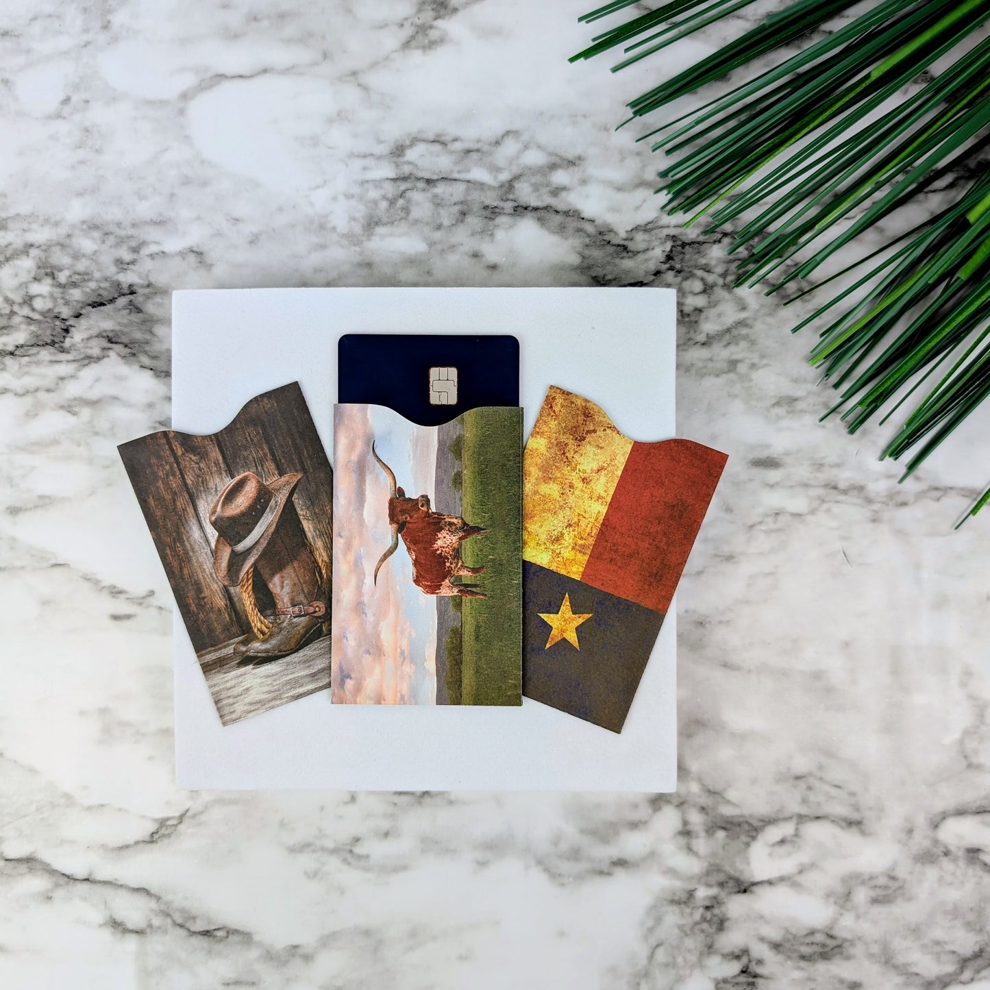 Texas RFID Card Sleeves, 6 Pack